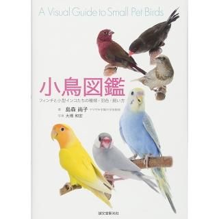 セキセイインコの雑貨アクセサリーなら 文鳥ロードショー 全部小鳥 小鳥雑貨とアクセサリー100 の通販セレクトショップ