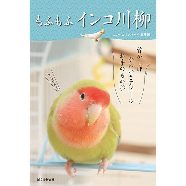 もふもふ インコ川柳 コンパニオンバード編集部著 インコ飼育本なら 文鳥ロードショー 全部小鳥 小鳥雑貨とアクセサリー100 の通販セレクトショップ