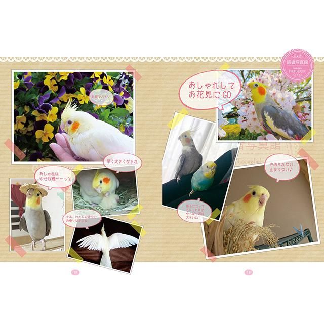 漫画で楽しむ だからやめられないコザクラ ボタンインコ生活 廣末さおり著 インコ飼育本なら 文鳥ロードショー 全部小鳥 小鳥雑貨とアクセサリー100 の通販セレクトショップ 漫画で楽しむ だからやめられないコザクラ ボタンインコ生活 廣末さおり著 インコ飼育本なら 文鳥ロードショー 全部小鳥 小鳥雑貨とアクセサリー100 の通販セレクトショップ