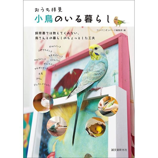 おうち拝見 小鳥のいる暮らし コンパニオンバード編集部著 インコ飼育本なら 文鳥ロードショー 全部小鳥 小鳥雑貨とアクセサリー100 の 通販セレクトショップ おうち拝見 小鳥のいる暮らし コンパニオンバード編集部著 インコ飼育本なら 文鳥ロードショー 全部小鳥 小鳥雑貨とアクセサリー100 の 通販セレクトショップ