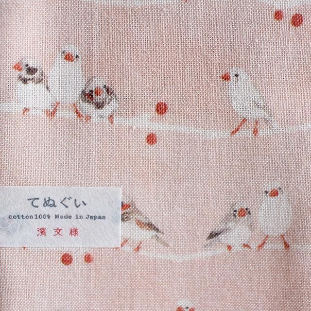 Z/X -Zillions of enemy X- NF DramaCD ⑫ 「さみしがりアニムス