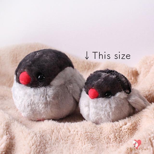 桜文鳥　デカ文鳥　ぬいぐるみ 特大文鳥ぬいぐるみが初登場‼️ コレド室町テラス2Fで、文鳥