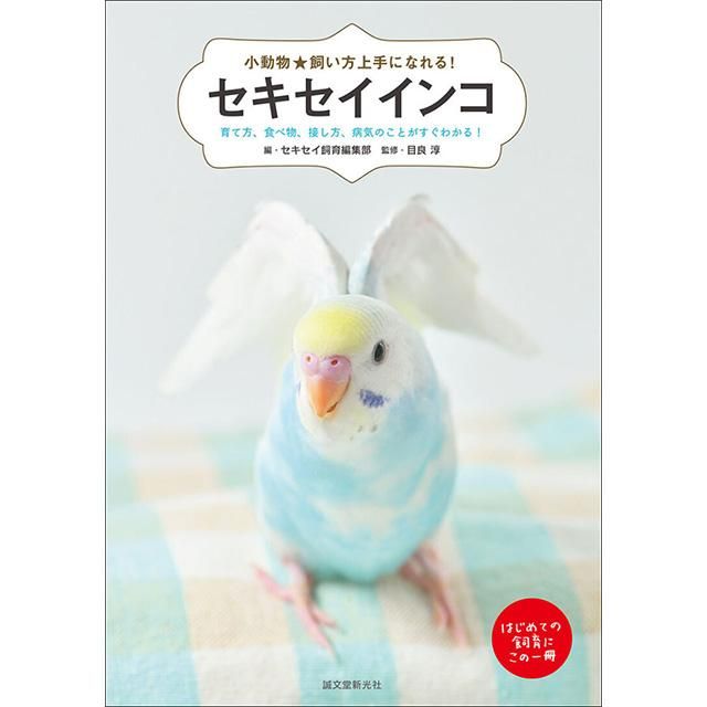 小動物☆飼い方上手になれる! / セキセイインコ / 目良 淳」育て方