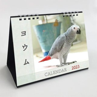 【最終入荷・ラスト2!】「2023年版 / カレンダー 卓上タイプ / ヨウム / MIYUKI / ARi」ヨウムのカレンダー / ミニサイズ