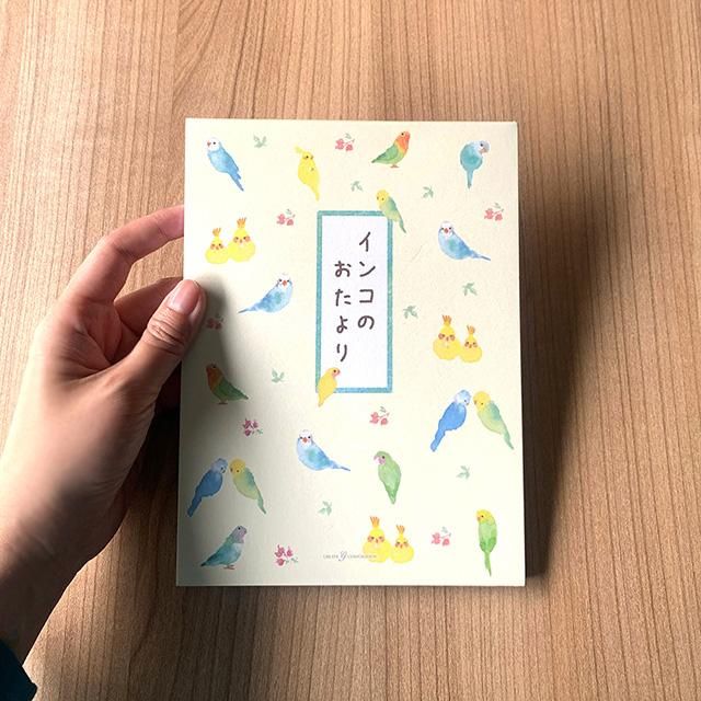 定番サイズ】「便箋 / インコ柄」たっぷり入った定型サイズの便箋