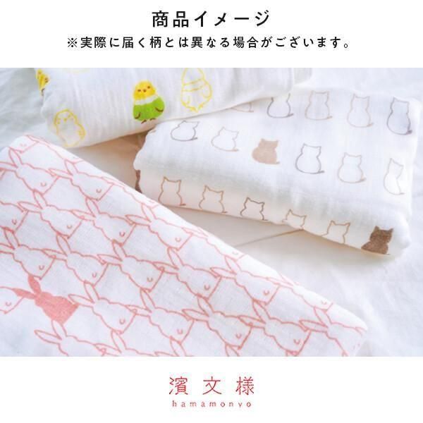 ����ͥ������