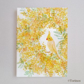 「アートキャンバス / ミモザ オカメインコ 」TORINOS / オカメのインテリアパネル / 23×16cm / すぐ飾れる壁掛け紐付き＊生成りにイエローの花