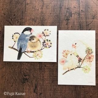 【セット売り】鳥面 春告文鳥 好評 鳥面 セット売り しつこく 売買されたオークション情報 春