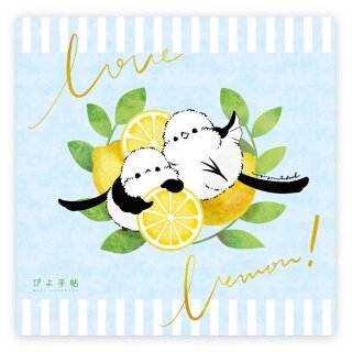 ֥ϥɥ / ޥʥȥפԤġ / ̷ / ե롼ġ忧<img class='new_mark_img2' src='https://img.shop-pro.jp/img/new/icons26.gif' style='border:none;display:inline;margin:0px;padding:0px;width:auto;' />