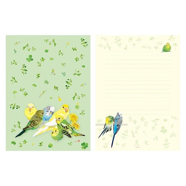 定番サイズ】「レターセット / セキセイインコとひよこ草」とりアート
