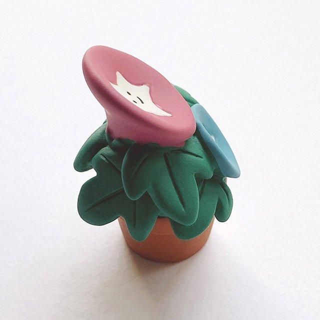 【単品不可オーダー用】朝顔の鉢植えセット　カッティングダイ 楽天市場】アタリヤ農園 支柱付き 大輪あさがお [栽培キット