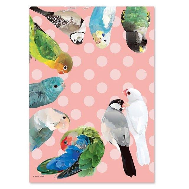 クリアファイルA4 / ことりパレット」とりアート / 文鳥と小型