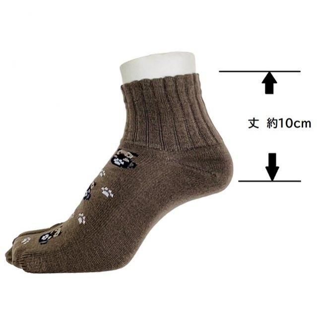 生産終了】「足袋ソックス / レディース23 - 25cm / インコ