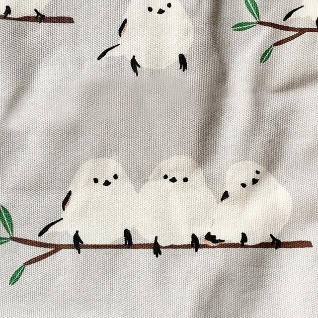 ͥ