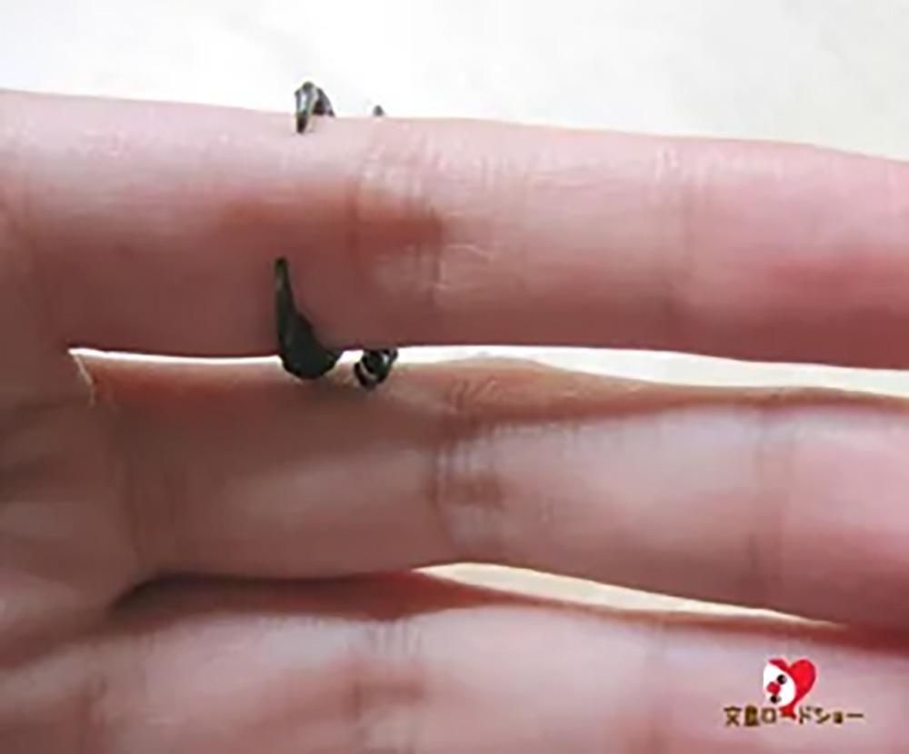 ����ͥ������