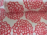 ڥĥ ϡۤᤳ**åȥ*whitered*40A