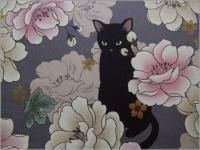 ڥ ϡĴ߹ǭ*åȥ*purple gray*11J