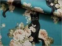 㥭Х ϡ۹ǭ*⡼֥롼꡼*6C