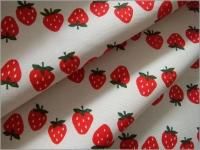 ڥå ϡۤΥܡץ*åȥ**1A