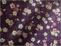 ڥ ϡĴβ**åȥ*purple*14D