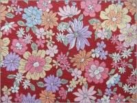 ڥ ϡۥȥե*åȥ*red*1D