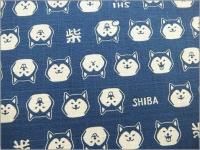 ڥɥӡ ϡۼƸSHIBA*Ĵ*åȥ*֥롼*blue*B2