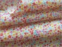 ڥ ϡۥܥ˥*֥ץ*åȥ**red*1A