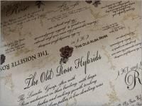 㥭Х ϡ۱ѻХ*åȥͥ*linen*1B