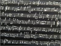 ڥ֥ ϡ۸*åȥ**֥åۥ磻*D4