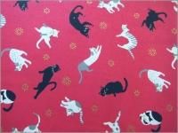 ڥ ϡ۹ǭǭͥ*åȥ*cherry pink*13D