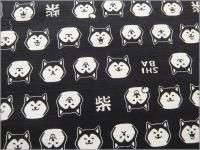 ڥɥӡ ϡۼƸSHIBA*Ĵ*åȥ*֥å**black*B5