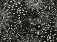 㥭Х ϡۥ饲*åȥͥ*kuro*18C