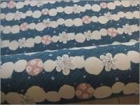 ��10���å��� ���ϡ��̲�*�ե��ܡ�������*����*blue*1D