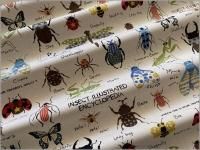 ڥĥ ϡۺ޴*åȥ***36A