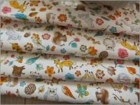 ڥ ϡۿưʪ*ڤ*åȥ**1A