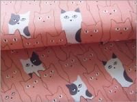 ڥå ϡۥͥǭ*åȥ*strawberry pink*4B