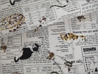 ڥ ϡۥͥʹ*news paper*white*B1