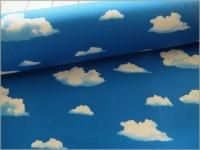 ڥå ϡ۶ȱ*ꥢץ*blue*1B