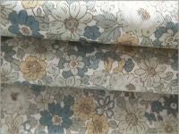 ڥĥ ϡۥܥ˥ե**green*D3