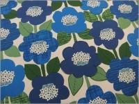 ڥإӡå ϡ̲ե**blue*1B