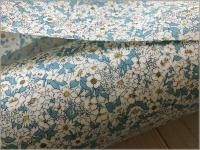 ڥ ϡ֥ܥ˥ե*blue*2A