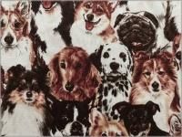 ڥå ϡ۸*ꥢžPt*2A