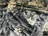 ڥå ϡۥͥǭ*ǥ˥žPt*֥åǥ˥*11C