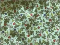 ڥ֥륬 ϡ̢**mint green*1D