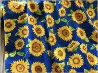 ڥ ϡ۸*Ҥޤ**blue*1C