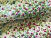 ڥ֥륬 ϡ֥եǥ*cream*2D