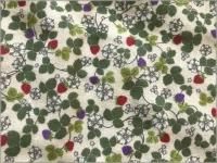 ڥ֥륬 ϡ̢**cream*1B