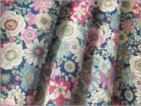 60 ϡ֥ܥ˥Pt*blue pink*1E