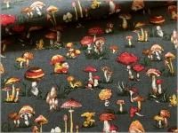 㥭Х ϡۤΤ*smoke gray*1D