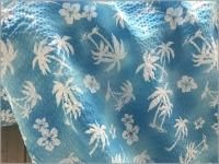 ڥåץ ϡۥϥ磻䥷&ϥӥ*blue*3B